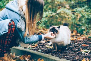 Unprofessioneller Tierschutz: Gut gemeint, aber nicht immer zielführend.